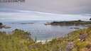 ./images/calvert/foggy-cove/20260706/foggy-cove20260706_111001M.jpg