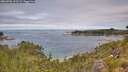 ./images/calvert/foggy-cove/20260706/foggy-cove20260706_123501M.jpg