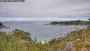 ./images/calvert/foggy-cove/20260706/foggy-cove20260706_132501M.jpg