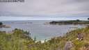 ./images/calvert/foggy-cove/20260706/foggy-cove20260706_133001M.jpg