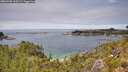 ./images/calvert/foggy-cove/20260706/foggy-cove20260706_134502M.jpg