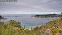 ./images/calvert/foggy-cove/20260706/foggy-cove20260706_135001M.jpg