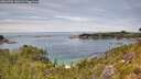 ./images/calvert/foggy-cove/20260706/foggy-cove20260706_141001M.jpg