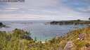 ./images/calvert/foggy-cove/20260706/foggy-cove20260706_143001M.jpg