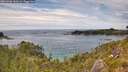 ./images/calvert/foggy-cove/20260706/foggy-cove20260706_153501M.jpg