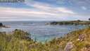 ./images/calvert/foggy-cove/20260706/foggy-cove20260706_154501M.jpg