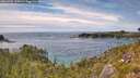 ./images/calvert/foggy-cove/20260706/foggy-cove20260706_155001M.jpg
