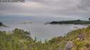 ./images/calvert/foggy-cove/20260706/foggy-cove20260706_182001M.jpg