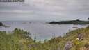 ./images/calvert/foggy-cove/20260706/foggy-cove20260706_194501M.jpg