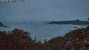 ./images/calvert/foggy-cove/20260707/foggy-cove20260707_050501M.jpg