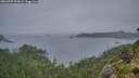 ./images/calvert/foggy-cove/20260707/foggy-cove20260707_054001M.jpg