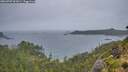 ./images/calvert/foggy-cove/20260707/foggy-cove20260707_061001M.jpg