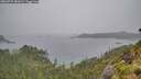 ./images/calvert/foggy-cove/20260707/foggy-cove20260707_081001M.jpg