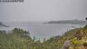 ./images/calvert/foggy-cove/20260707/foggy-cove20260707_090501M.jpg
