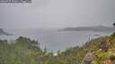 ./images/calvert/foggy-cove/20260707/foggy-cove20260707_091001M.jpg