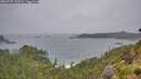 ./images/calvert/foggy-cove/20260707/foggy-cove20260707_100001M.jpg