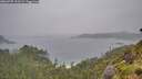 ./images/calvert/foggy-cove/20260707/foggy-cove20260707_102502M.jpg