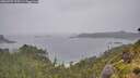 ./images/calvert/foggy-cove/20260707/foggy-cove20260707_105501M.jpg