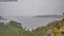 ./images/calvert/foggy-cove/20260707/foggy-cove20260707_110501M.jpg
