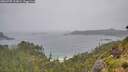 ./images/calvert/foggy-cove/20260707/foggy-cove20260707_112001M.jpg
