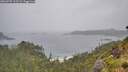 ./images/calvert/foggy-cove/20260707/foggy-cove20260707_113501M.jpg