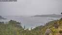 ./images/calvert/foggy-cove/20260707/foggy-cove20260707_114002M.jpg