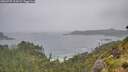 ./images/calvert/foggy-cove/20260707/foggy-cove20260707_114501M.jpg