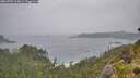 ./images/calvert/foggy-cove/20260707/foggy-cove20260707_115001M.jpg