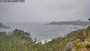 ./images/calvert/foggy-cove/20260707/foggy-cove20260707_115501M.jpg