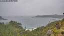 ./images/calvert/foggy-cove/20260707/foggy-cove20260707_120001M.jpg