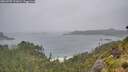 ./images/calvert/foggy-cove/20260707/foggy-cove20260707_121001M.jpg