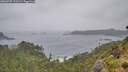 ./images/calvert/foggy-cove/20260707/foggy-cove20260707_121501M.jpg