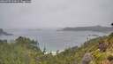 ./images/calvert/foggy-cove/20260707/foggy-cove20260707_122002M.jpg