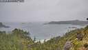 ./images/calvert/foggy-cove/20260707/foggy-cove20260707_122501M.jpg