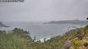 ./images/calvert/foggy-cove/20260707/foggy-cove20260707_123501M.jpg