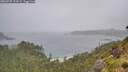 ./images/calvert/foggy-cove/20260707/foggy-cove20260707_124501M.jpg