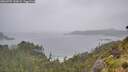 ./images/calvert/foggy-cove/20260707/foggy-cove20260707_130002M.jpg
