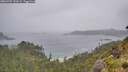 ./images/calvert/foggy-cove/20260707/foggy-cove20260707_130501M.jpg