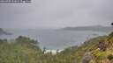 ./images/calvert/foggy-cove/20260707/foggy-cove20260707_131001M.jpg