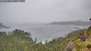 ./images/calvert/foggy-cove/20260707/foggy-cove20260707_132001M.jpg
