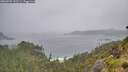 ./images/calvert/foggy-cove/20260707/foggy-cove20260707_132501M.jpg