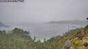 ./images/calvert/foggy-cove/20260707/foggy-cove20260707_133001M.jpg