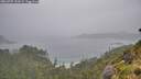 ./images/calvert/foggy-cove/20260707/foggy-cove20260707_134502M.jpg