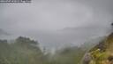 ./images/calvert/foggy-cove/20260707/foggy-cove20260707_141001M.jpg