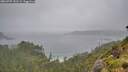./images/calvert/foggy-cove/20260707/foggy-cove20260707_141501M.jpg