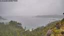 ./images/calvert/foggy-cove/20260707/foggy-cove20260707_143501M.jpg