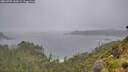 ./images/calvert/foggy-cove/20260707/foggy-cove20260707_144501M.jpg