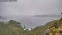 ./images/calvert/foggy-cove/20260707/foggy-cove20260707_145001M.jpg