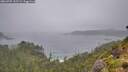 ./images/calvert/foggy-cove/20260707/foggy-cove20260707_145501M.jpg