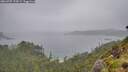 ./images/calvert/foggy-cove/20260707/foggy-cove20260707_154501M.jpg